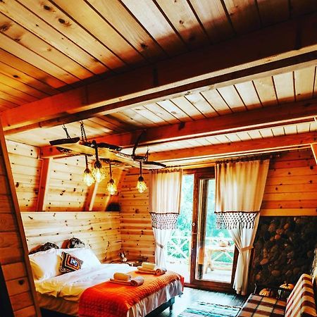 Purkinora Bungalov Çamlıhemşin Eksteriør billede