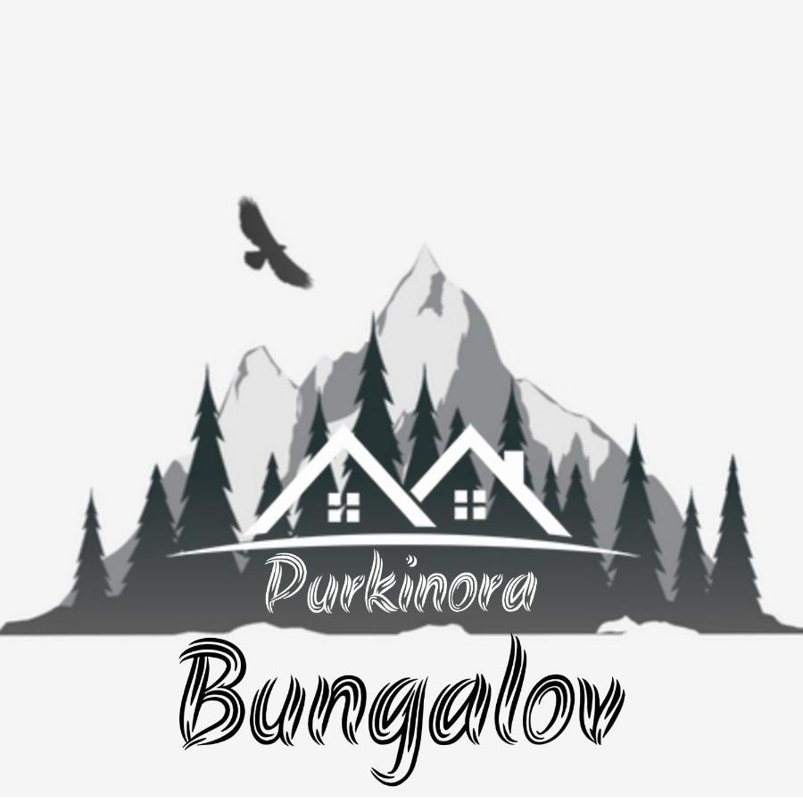 Purkinora Bungalov Çamlıhemşin Eksteriør billede
