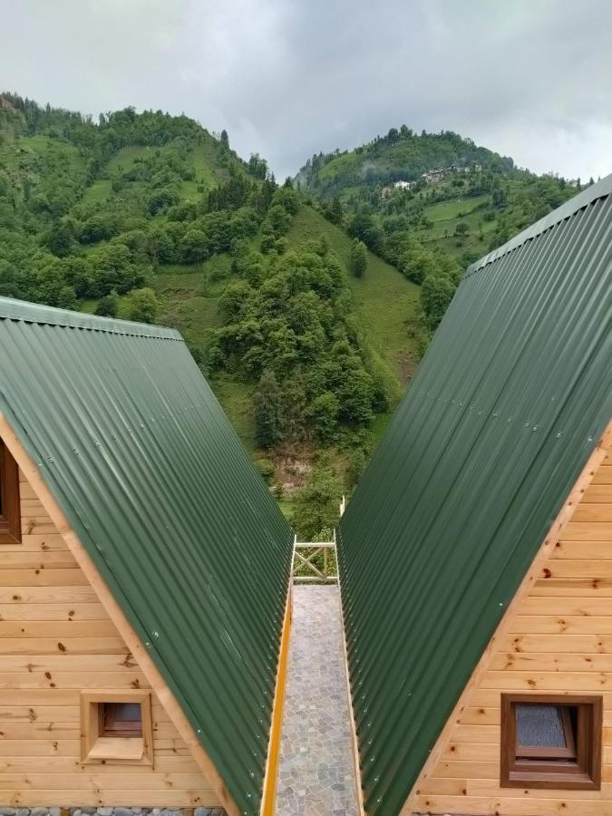 Purkinora Bungalov Çamlıhemşin Eksteriør billede